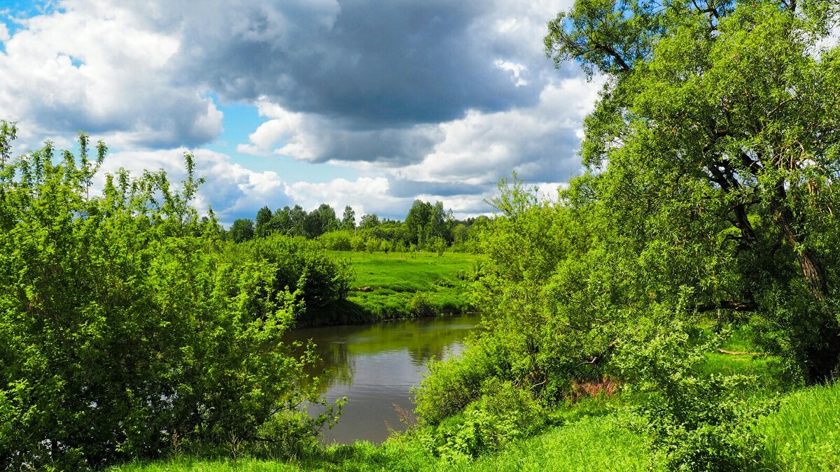 Живописные берега Днепра (репортаж из поездок по области). - Милешкин Владимир Алексеевич 