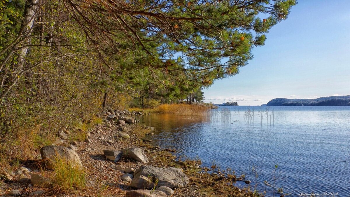 берег - Ольга Cоломатина