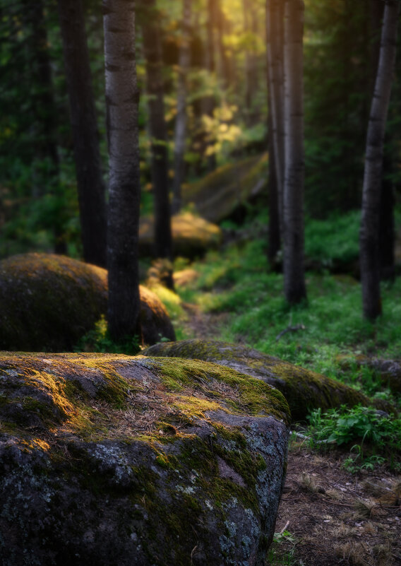 * - Александр Иванов * - Александр Иванов