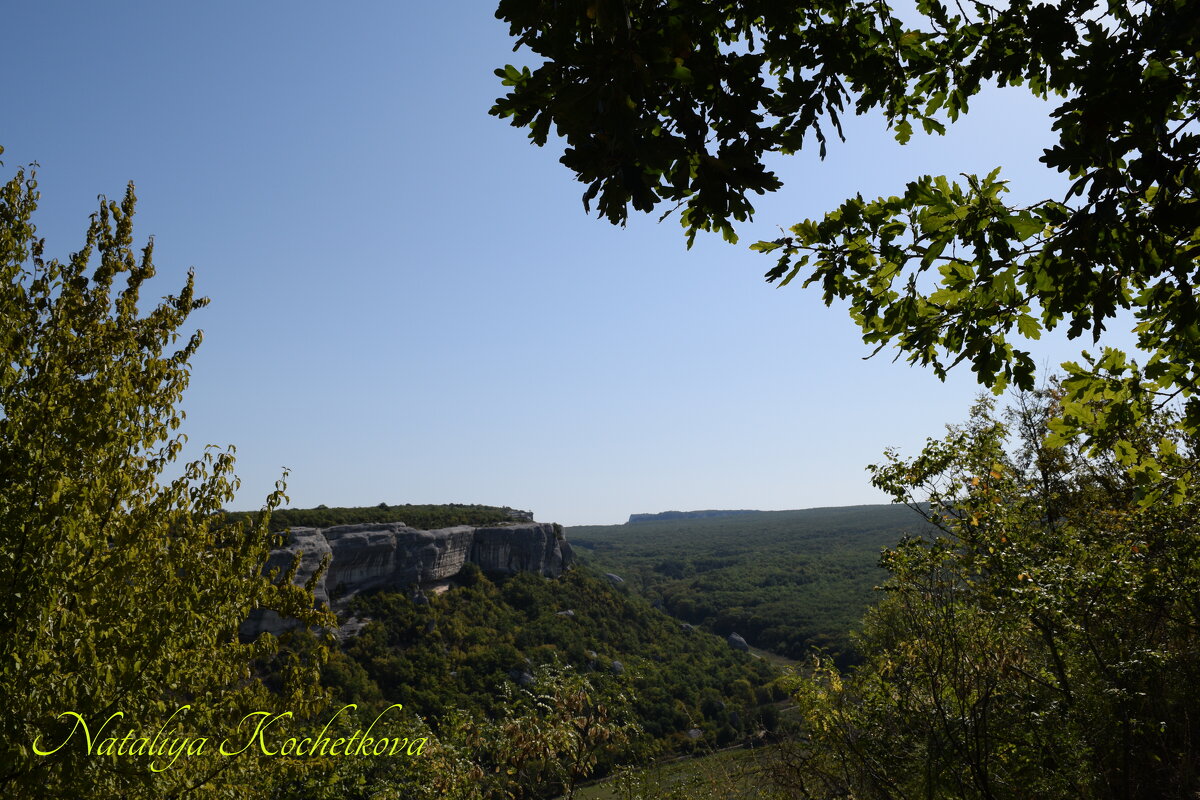 Природа Крыма - Amazing Cosmea