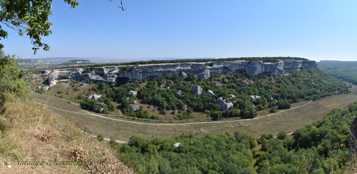 Природа Крыма - Amazing Cosmea