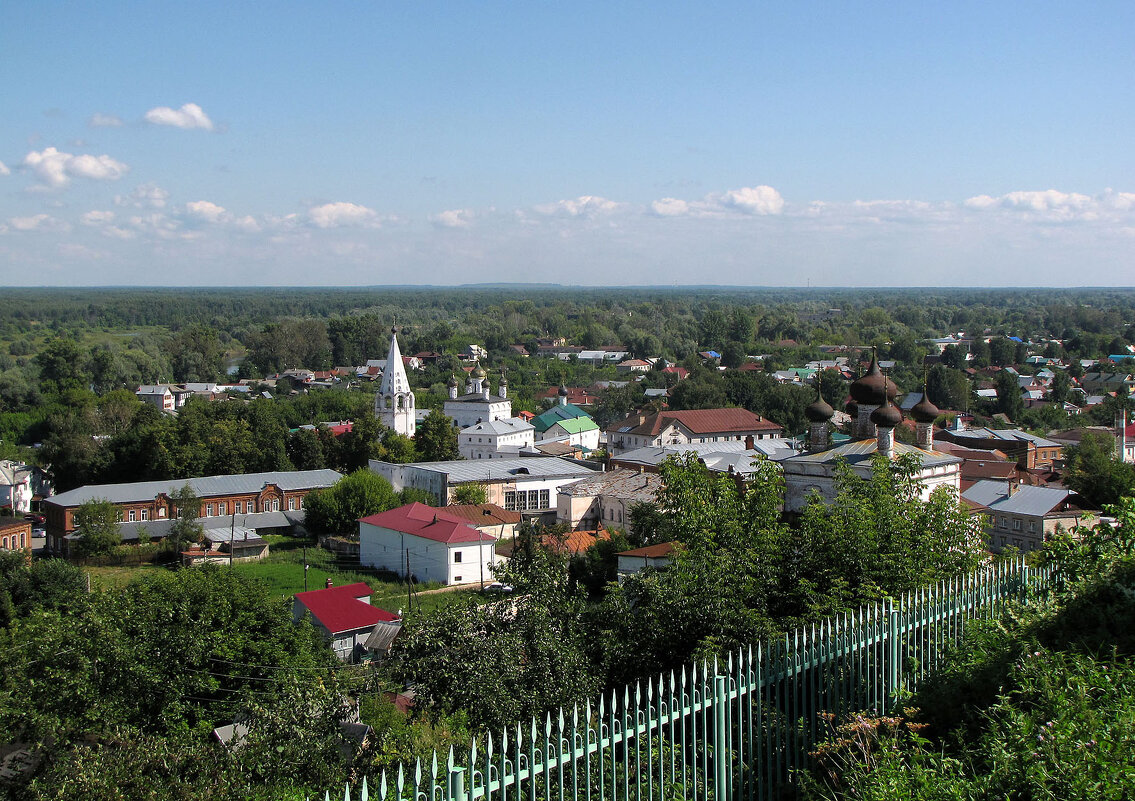 Вид на Гороховец с Пужаловой горы - Александр Ильчевский 
