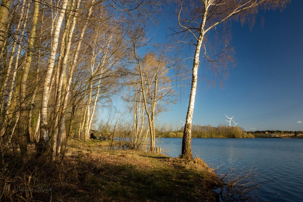 Солнечным днём... - Николай Гирш Солнечным днём... - Николай Гирш