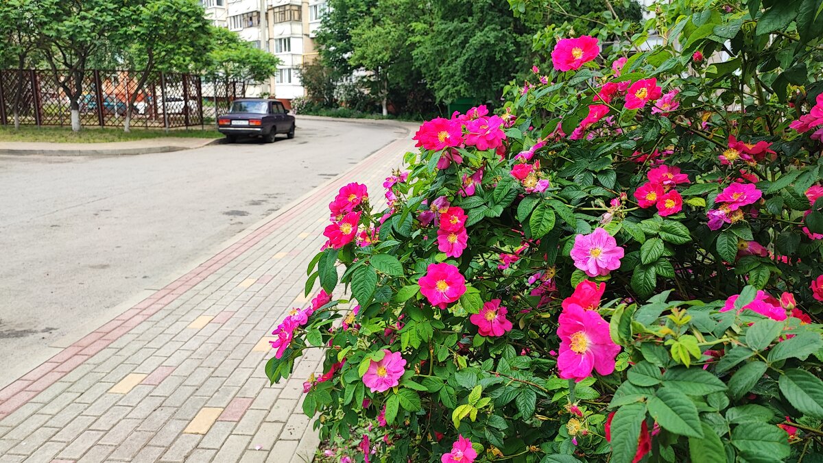 ,,, - Сергей Тимоновский ,,, - Сергей Тимоновский