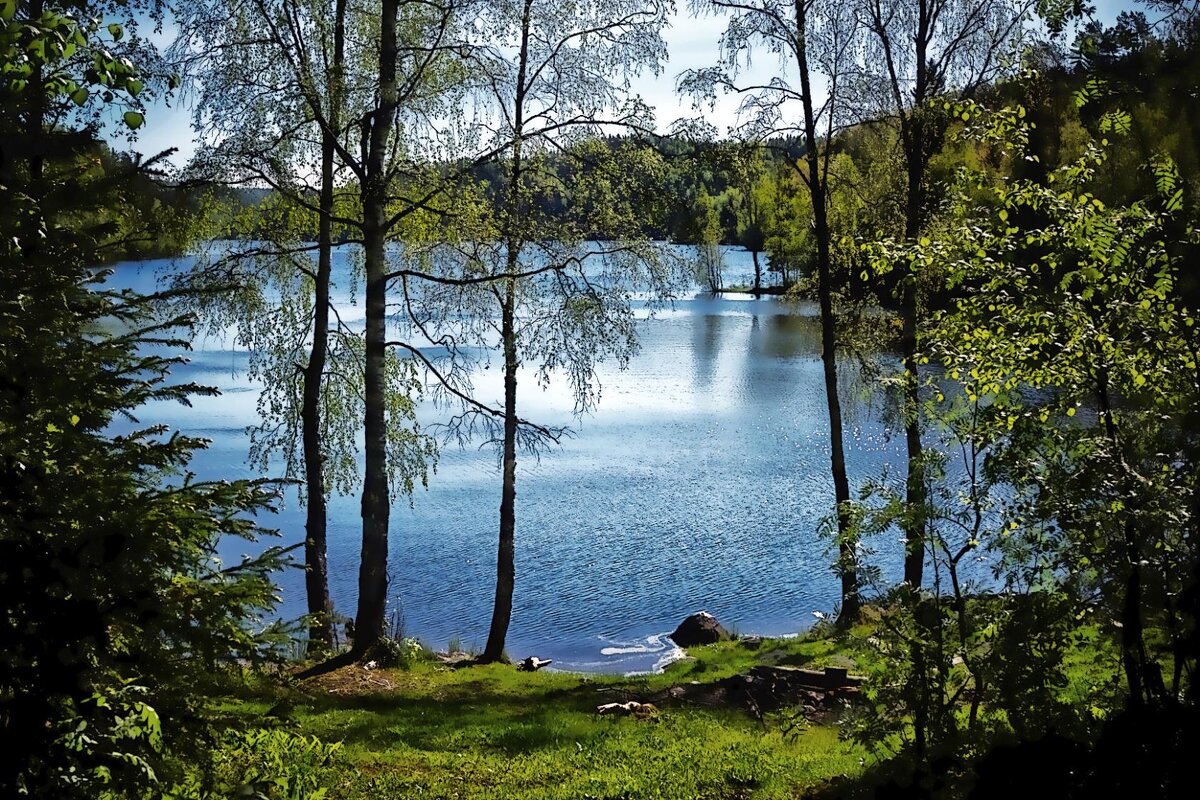 лесное озеро - Ольга Cоломатина
