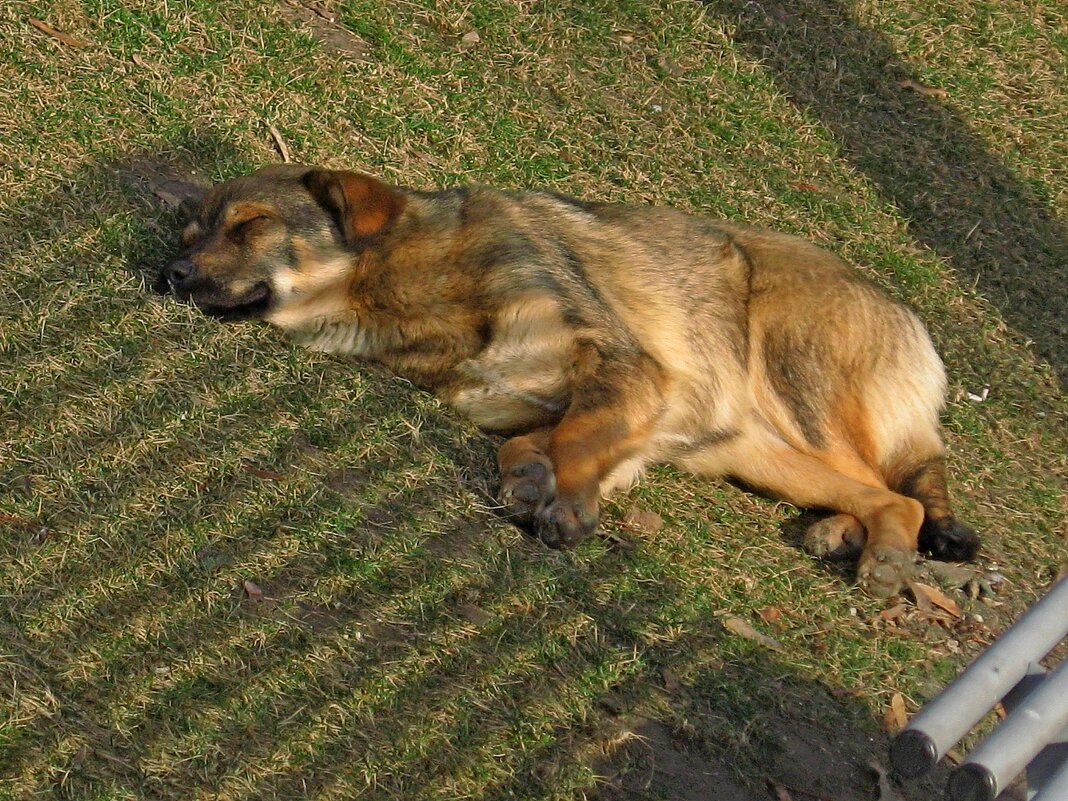 . - Александр Хоменко