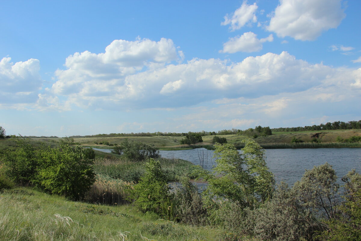Местные виды. - Виктор Местные виды. - Виктор
