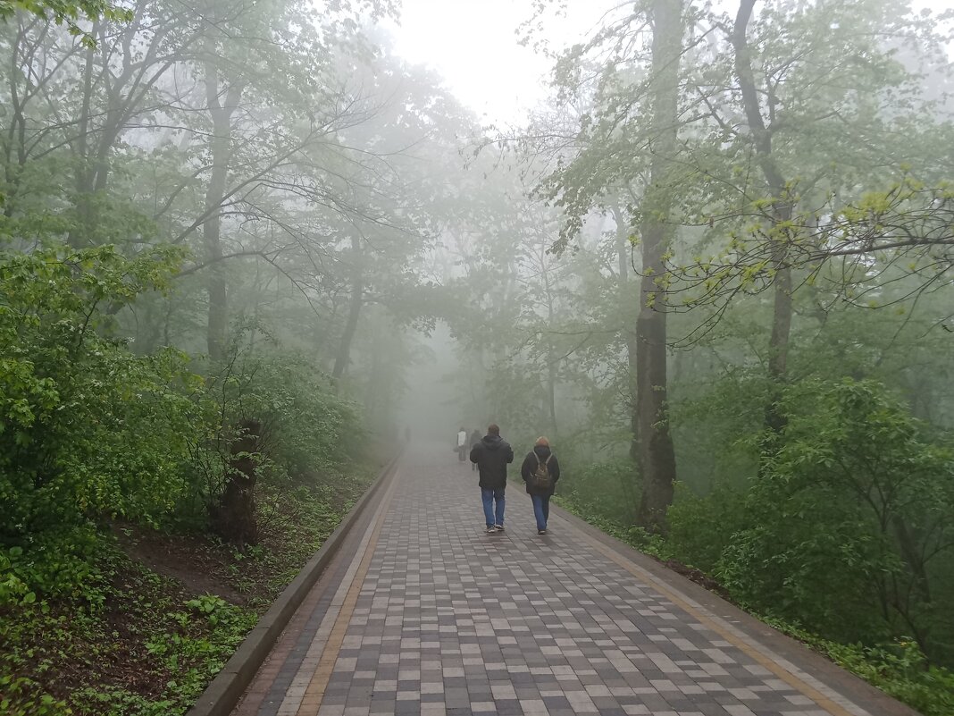 Двое в тумане - Виктор Двое в тумане - Виктор