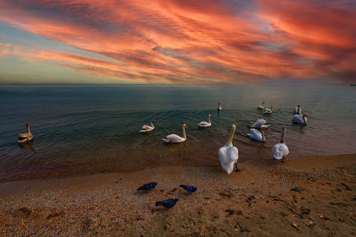 Море Черное - Vladimir 