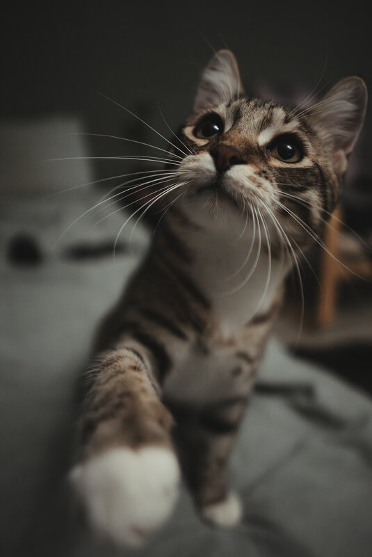 Привет! - Олег Куб