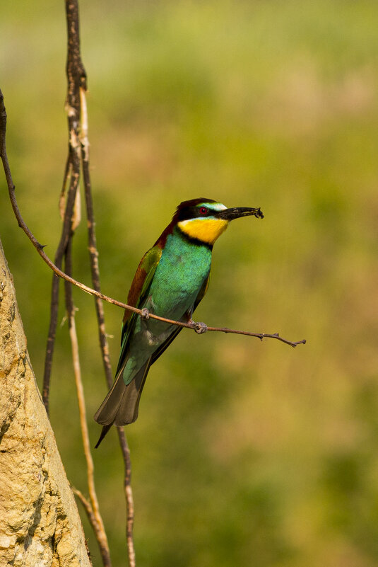 *** - Валерий Черняк *** - Валерий Черняк