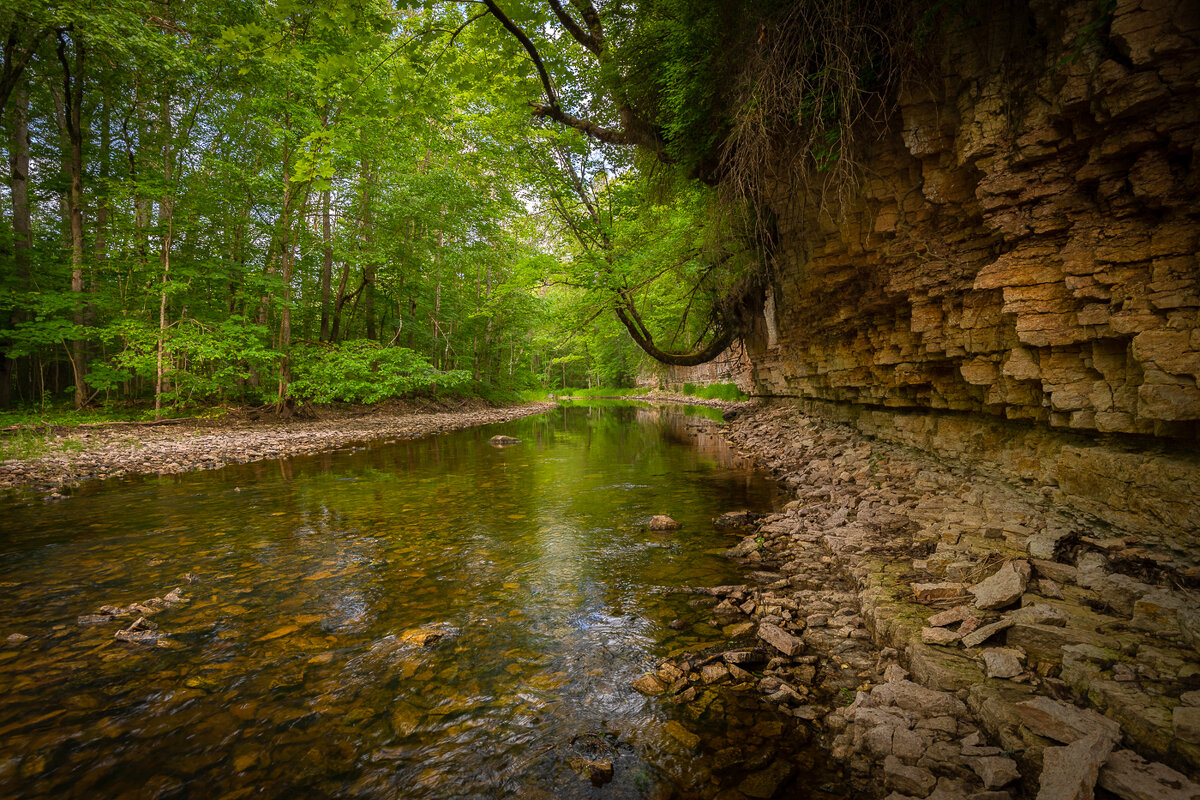 **** - Елизавета .