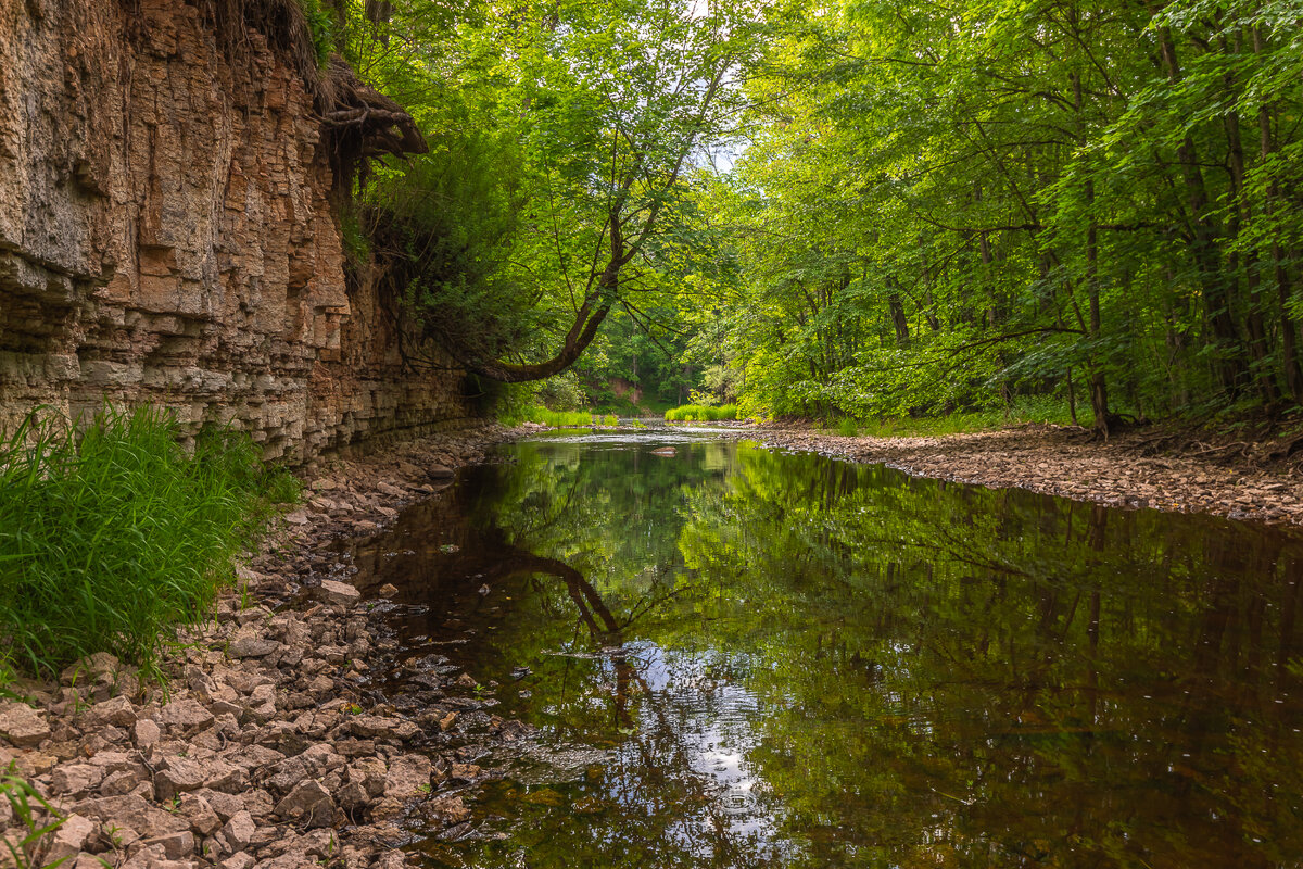 **** - Елизавета .