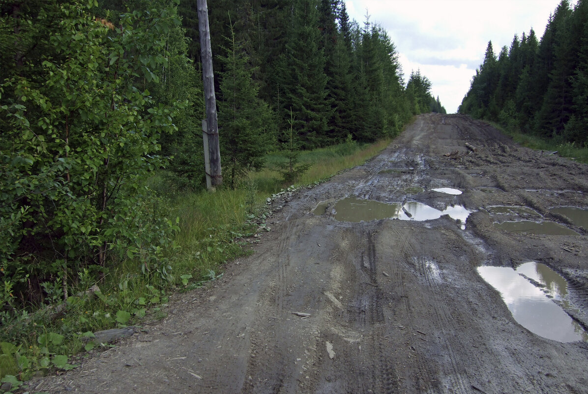 В горку - Vyacheslav Gordeev