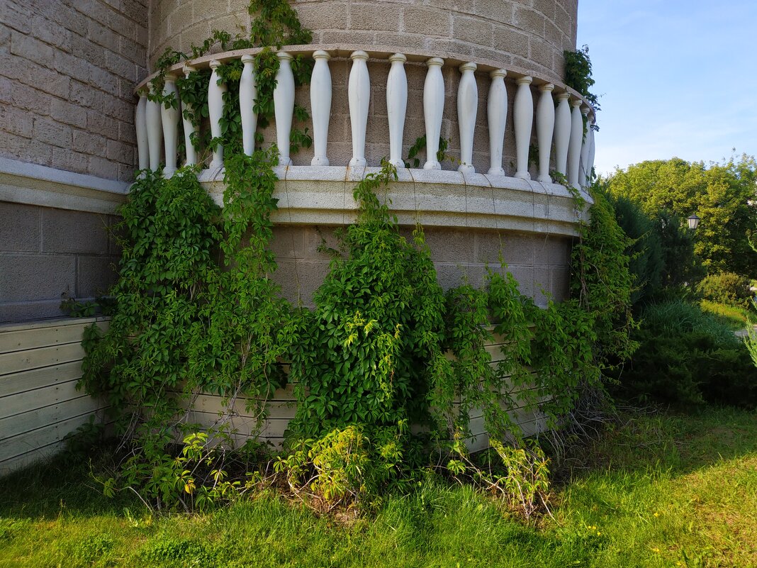 * * * - Андрей Лукьянов * * * - Андрей Лукьянов