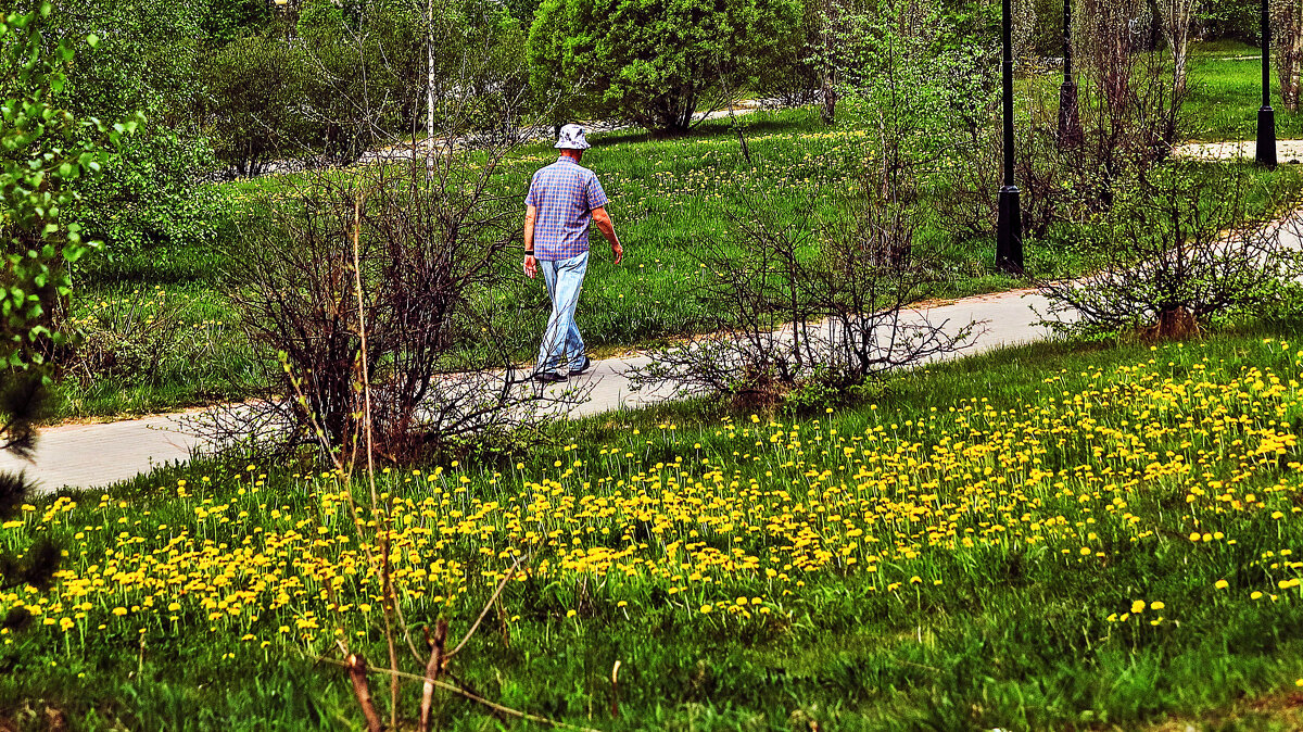 Июнь...Не замечая Красоты! - Владимир 