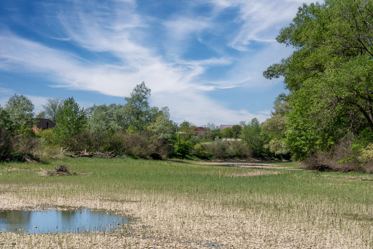 Одна из проток реки Кубань - Игорь Сикорский Одна из проток реки Кубань - Игорь Сикорский