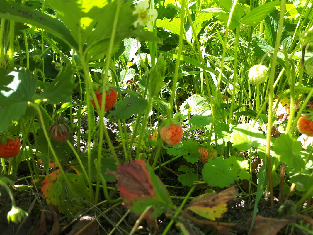 K - Андрей Л. В. K - Андрей Л. В.