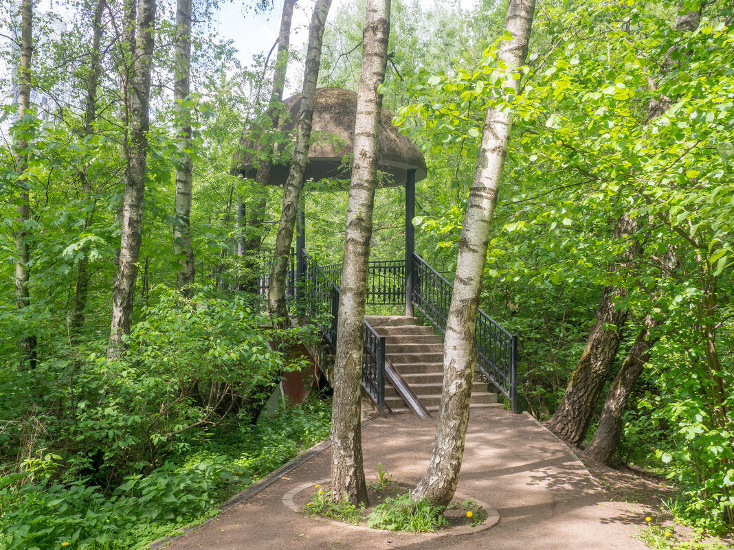 ___ - Yuriy V ___ - Yuriy V