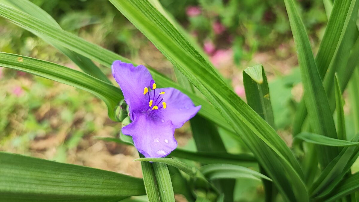 ,,, - Сергей Тимоновский ,,, - Сергей Тимоновский
