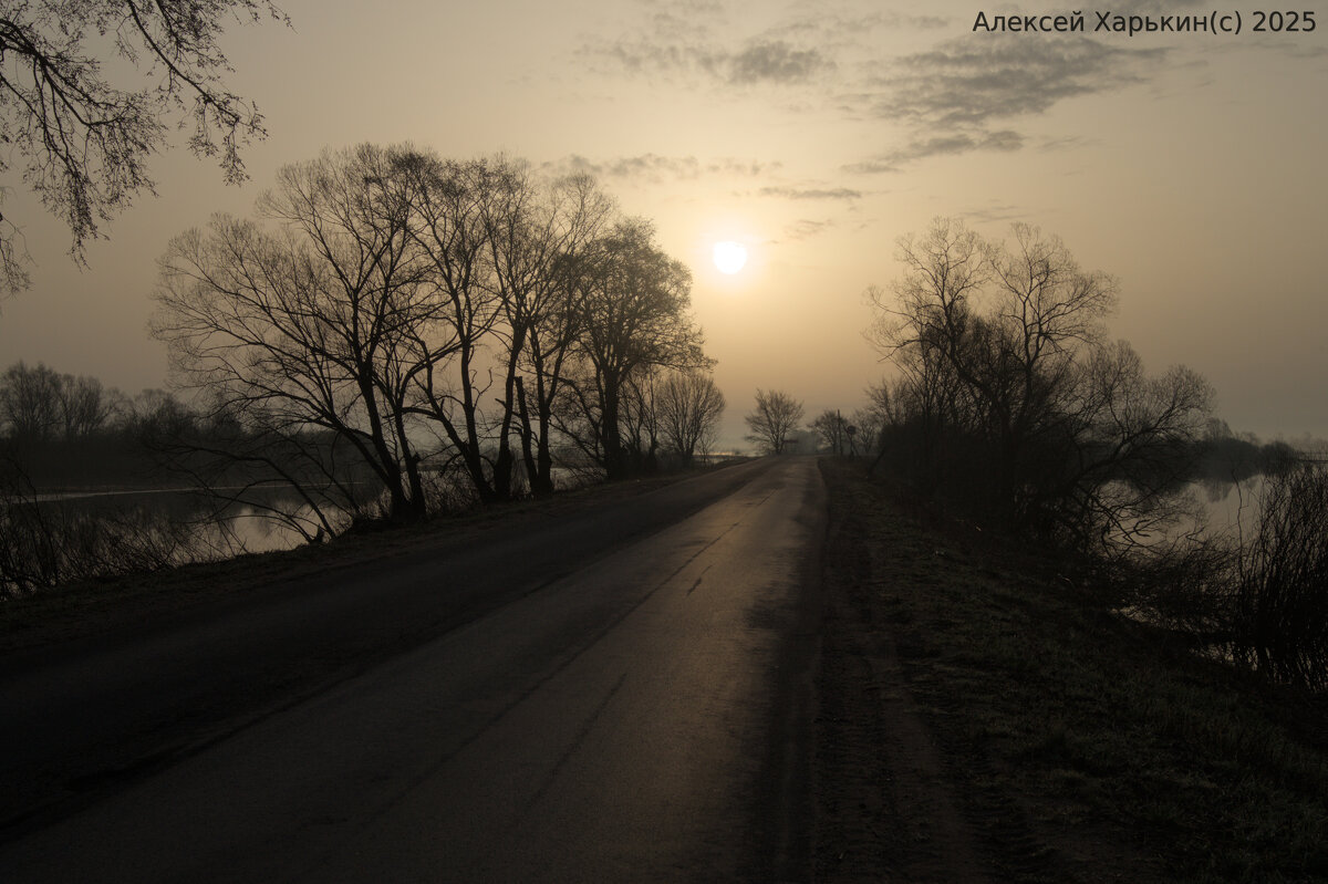 Шу - Алексей Харькин