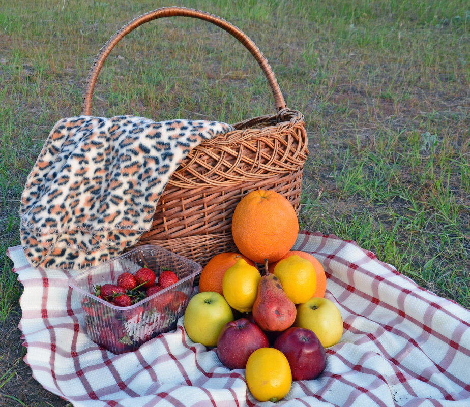 Летний пикник на природе - Сергей М 