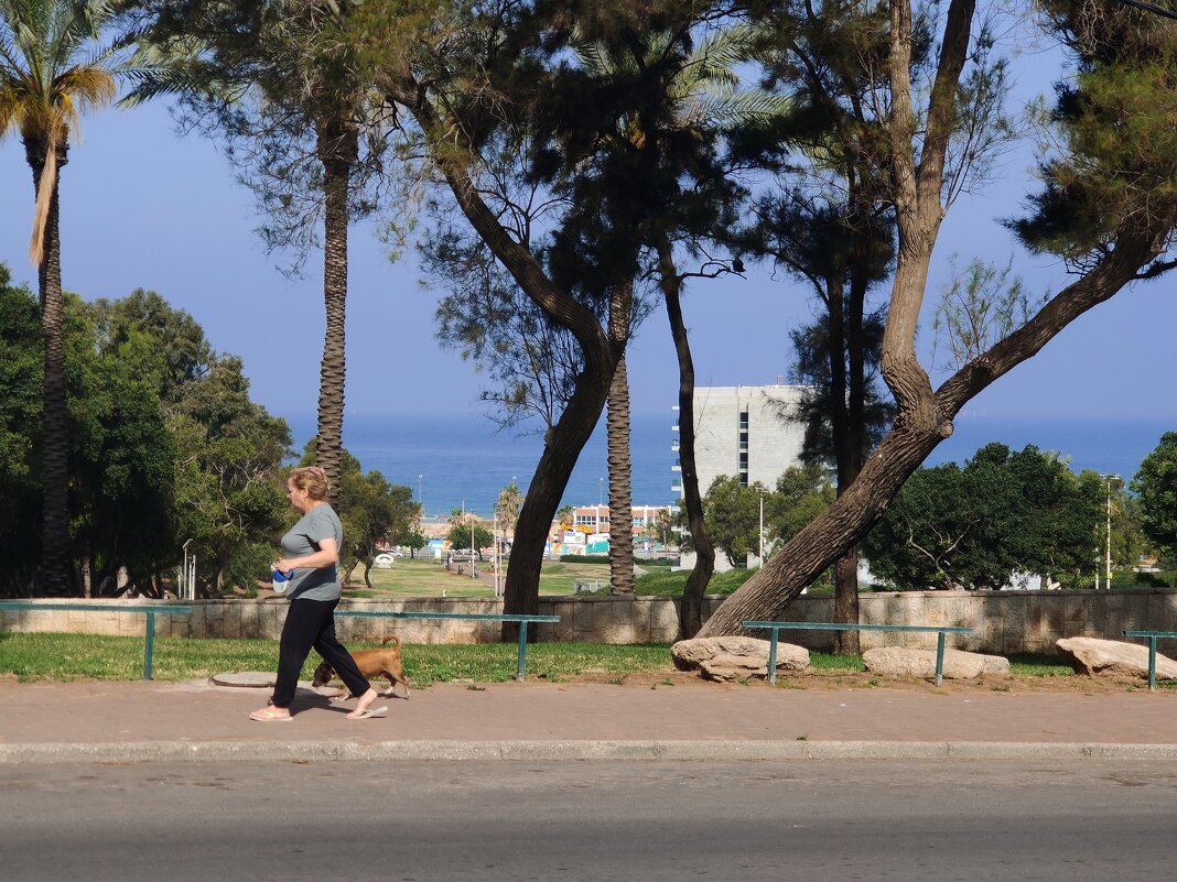 Дорога, парк и море! - Светлана Хращевская