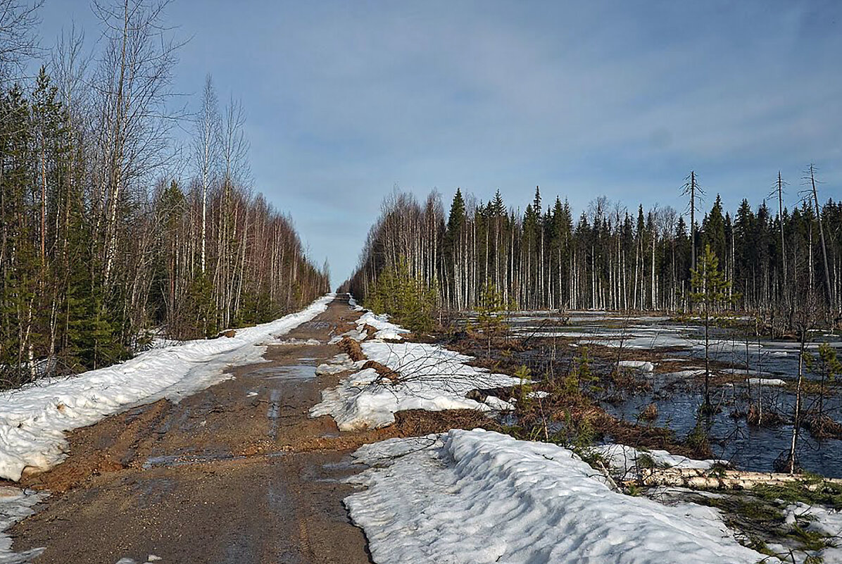 Весенняя дорога - Vyacheslav Gordeev