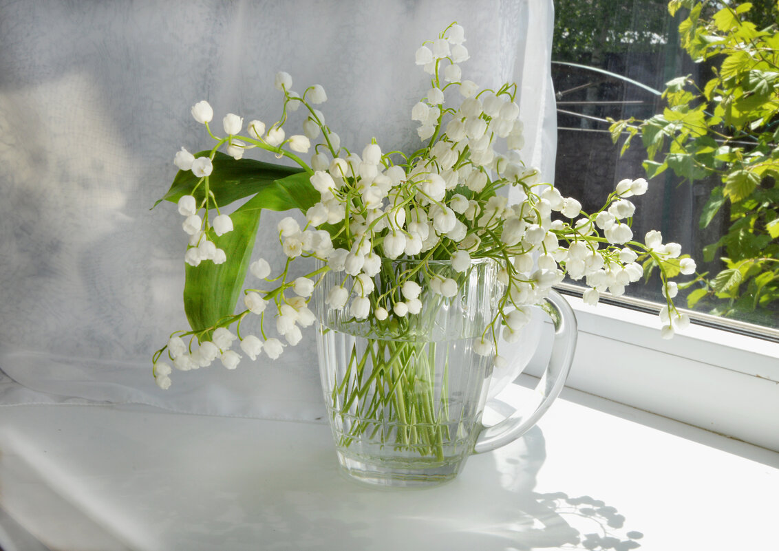 *** - Надежда Куркина 