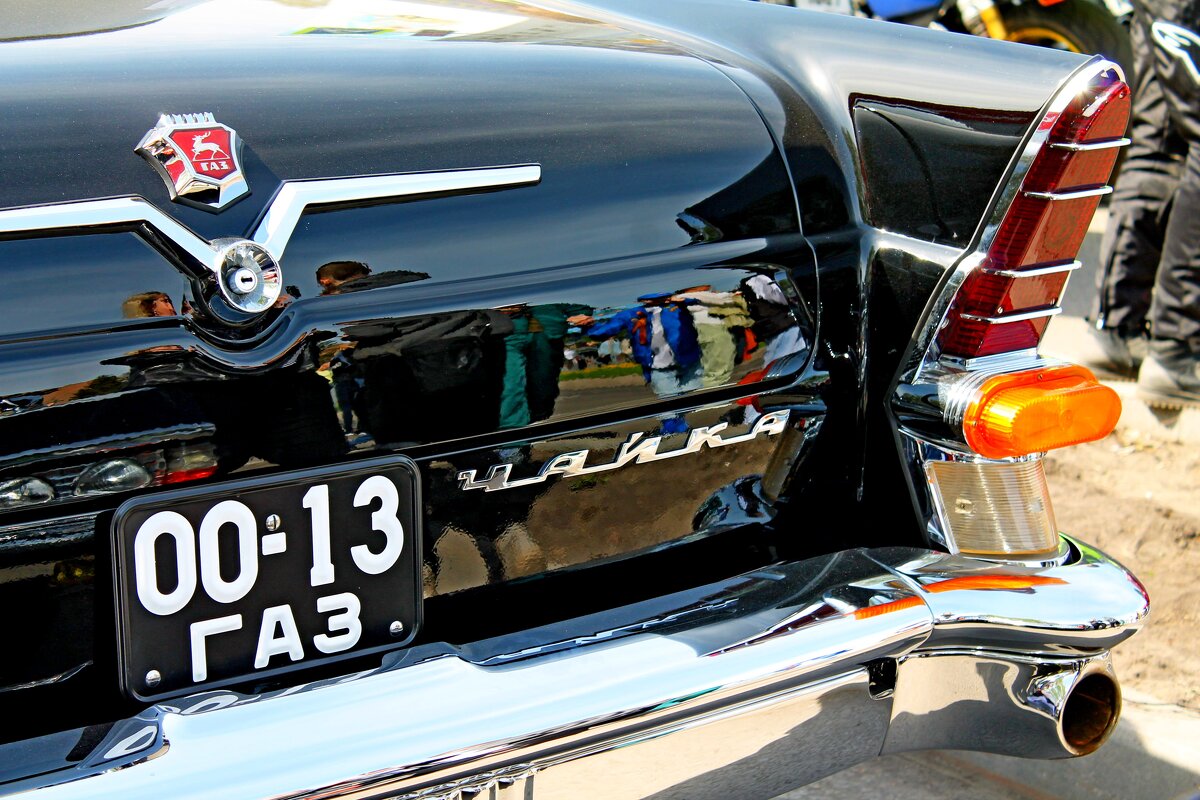 "Чайка" - Дмитрий (Горыныч) Симагин