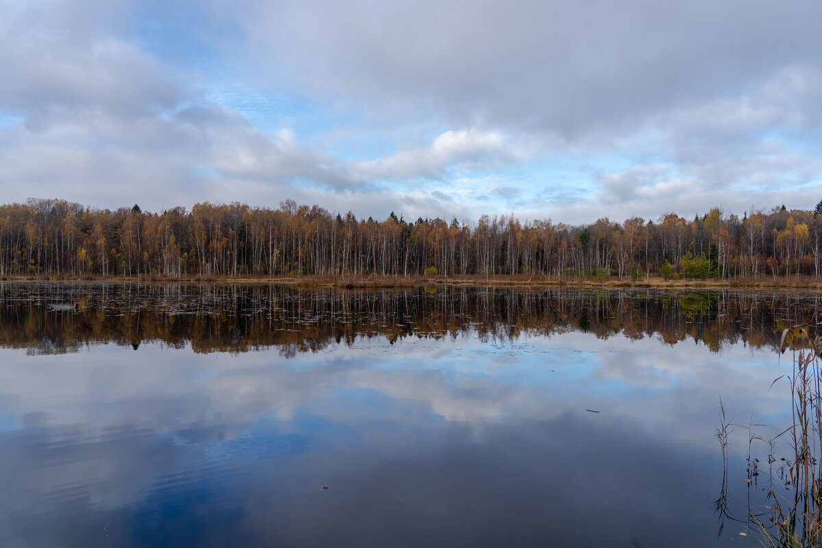 Щепкино болото. - Андрей Уткин Щепкино болото. - Андрей Уткин
