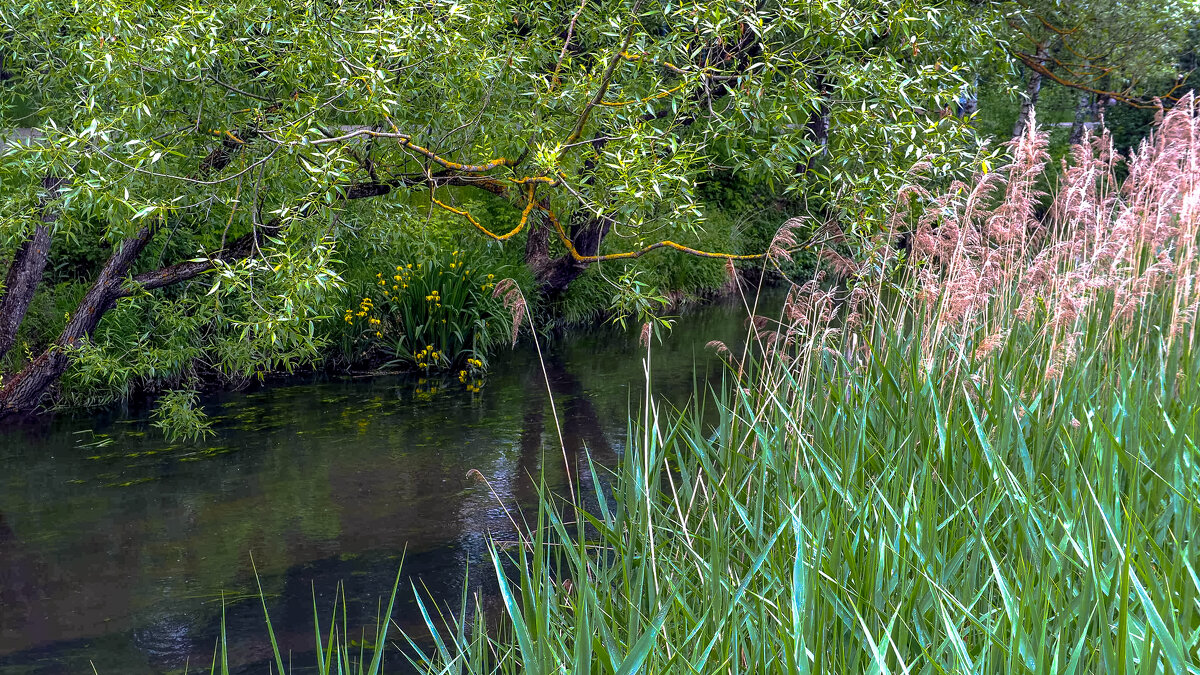 ***** - юрий поляков