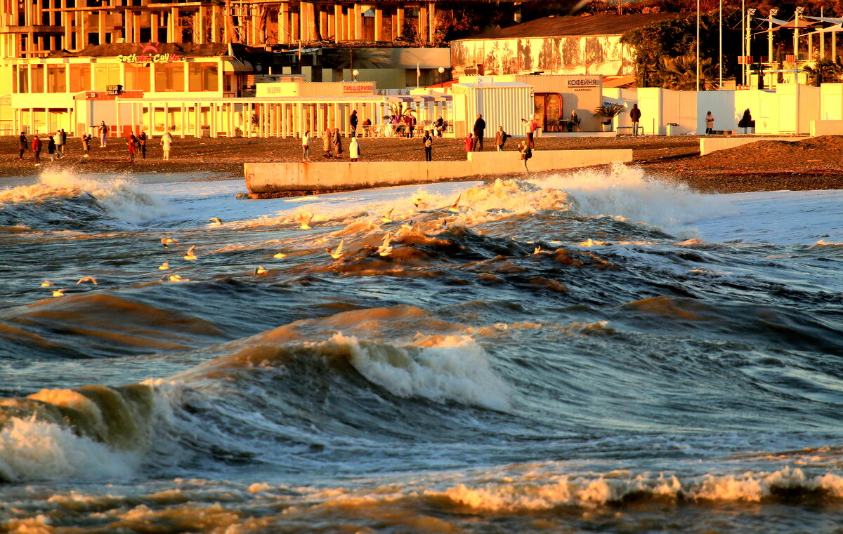 Ривьерский пляж - Валерий 