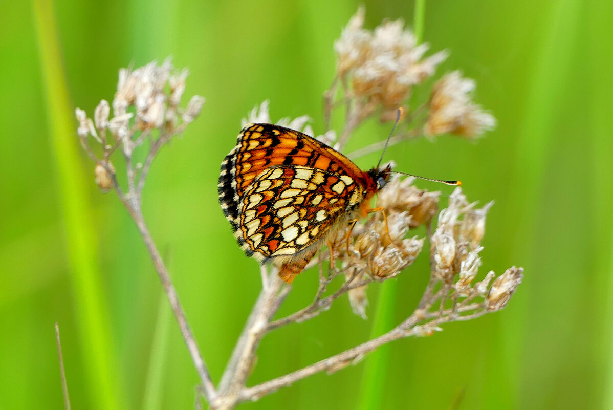 из вчерашней съёмки 2 - Александр Прокудин из вчерашней съёмки 2 - Александр Прокудин