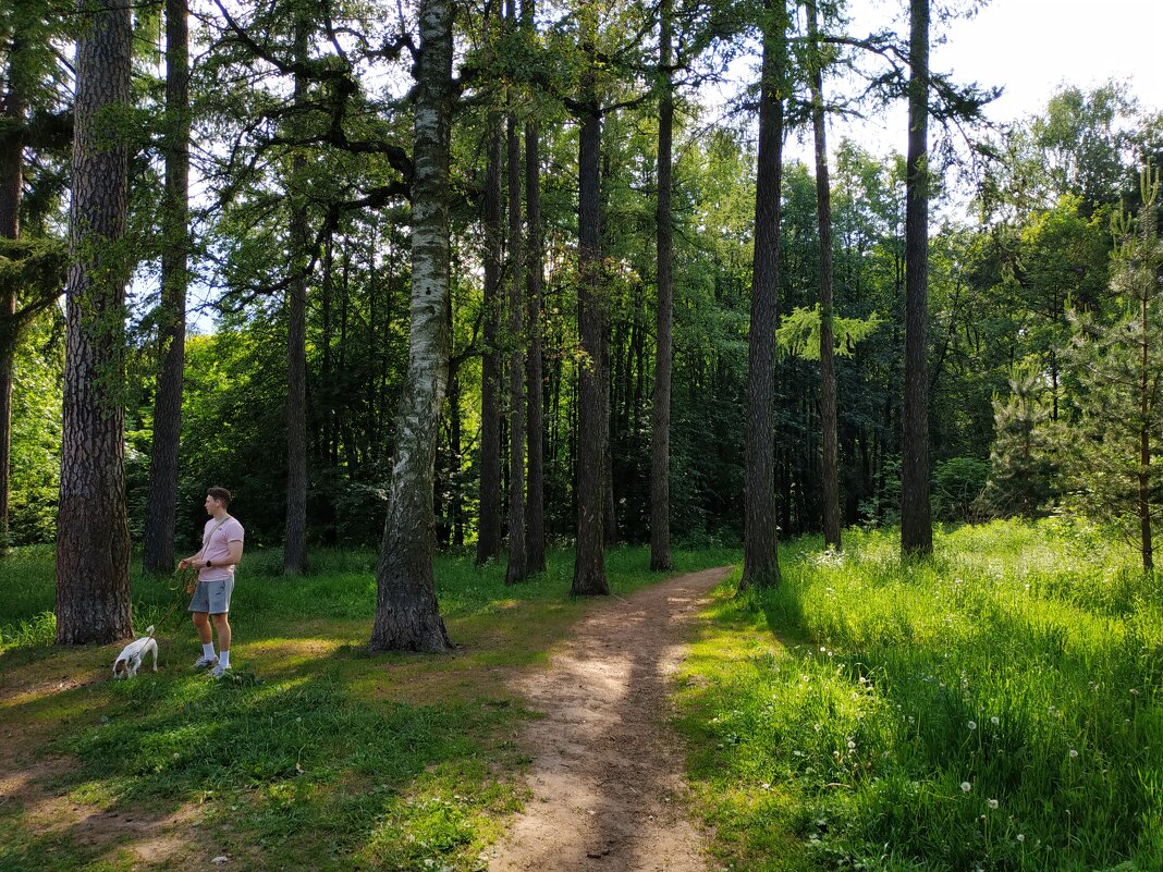 Мой путь светел - Андрей Лукьянов Мой путь светел - Андрей Лукьянов