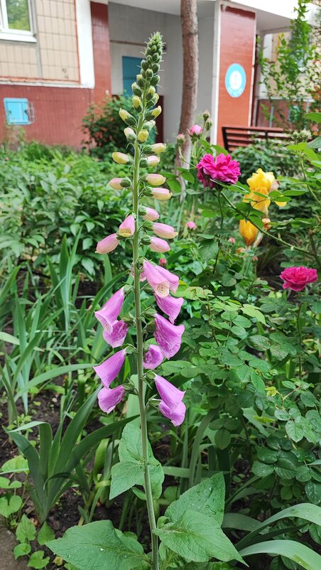 ,,, - Сергей Тимоновский