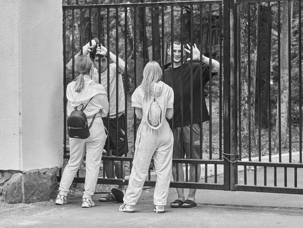 госпиталь... - emelka2 