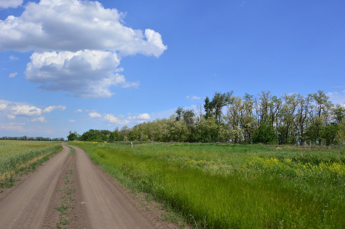 Мои дороги. - Виктор 
