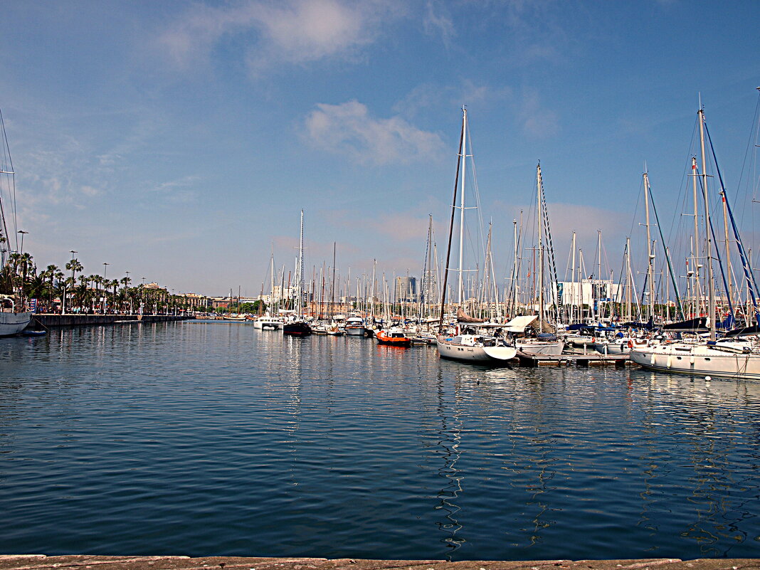 Барселона. - Владимир Драгунский Барселона. - Владимир Драгунский