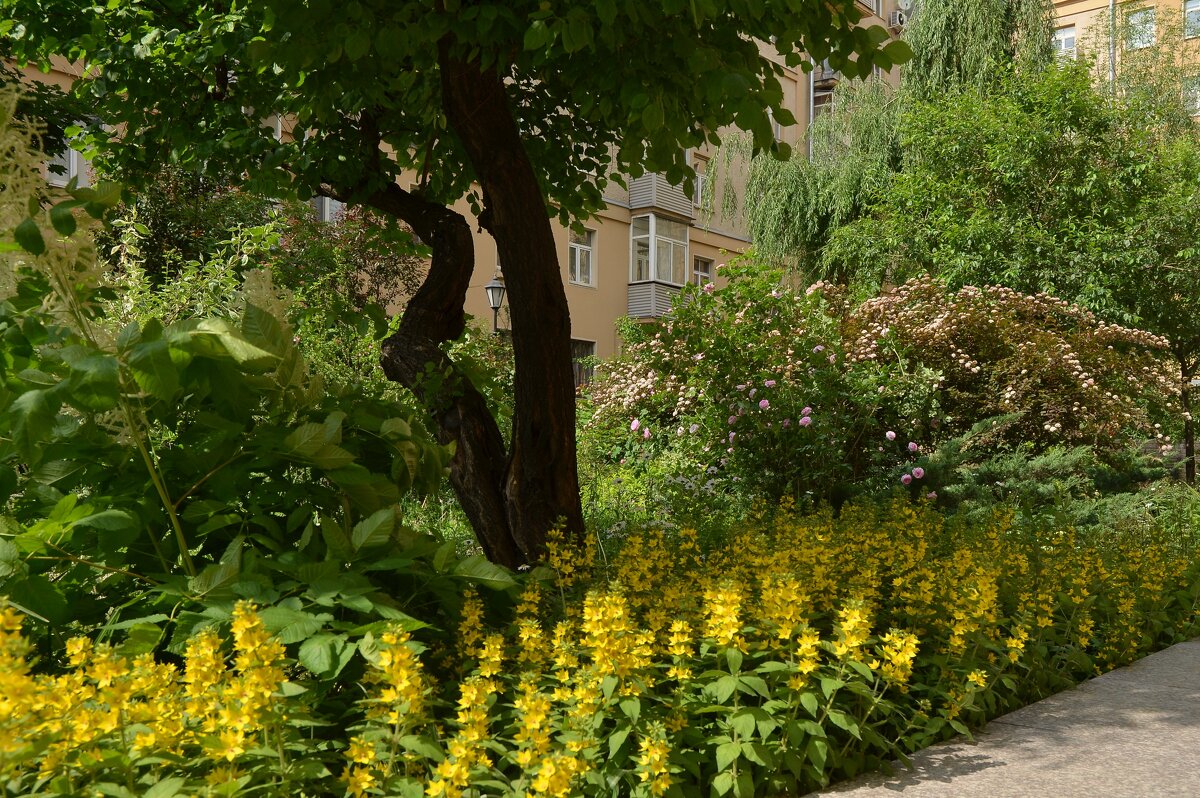 Двор в Москве - Oleg4618 Шутченко Двор в Москве - Oleg4618 Шутченко