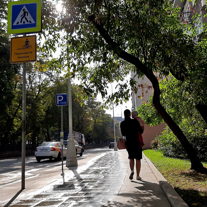 *** - Владимир Захаров *** - Владимир Захаров