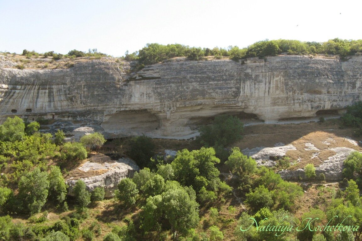 Природа Крыма - Amazing Cosmea