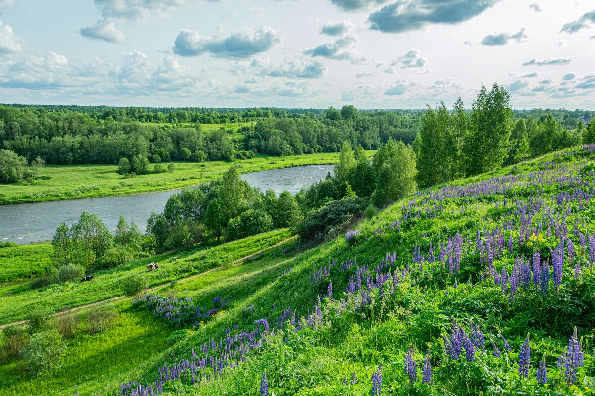 На вершине Бобровских гор - Александр Филатов