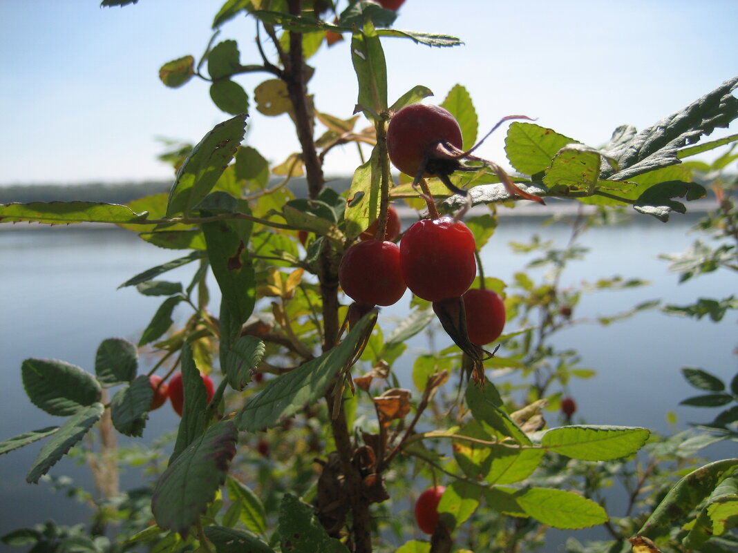 У протоки - Anna Ivanova У протоки - Anna Ivanova