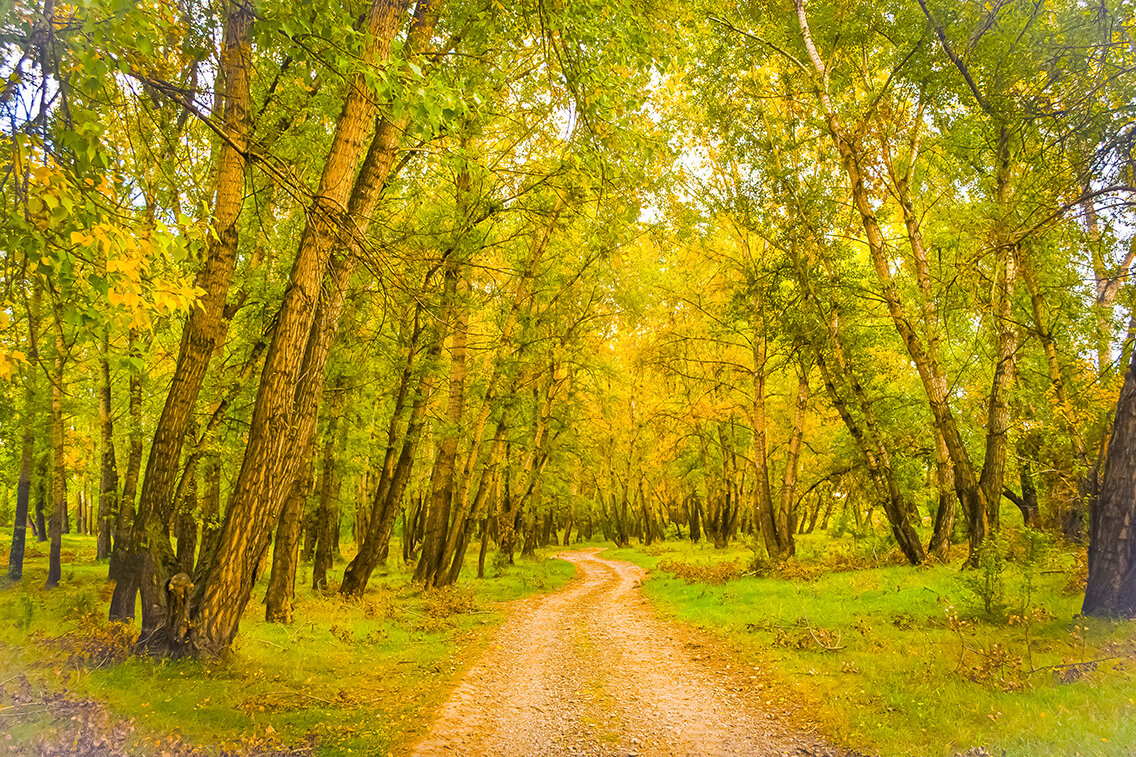 "Унылая пора очей очарованье ..." - юрий Амосов