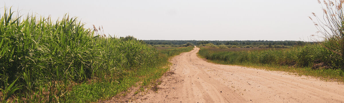 №95 - Alex Bes №95 - Alex Bes