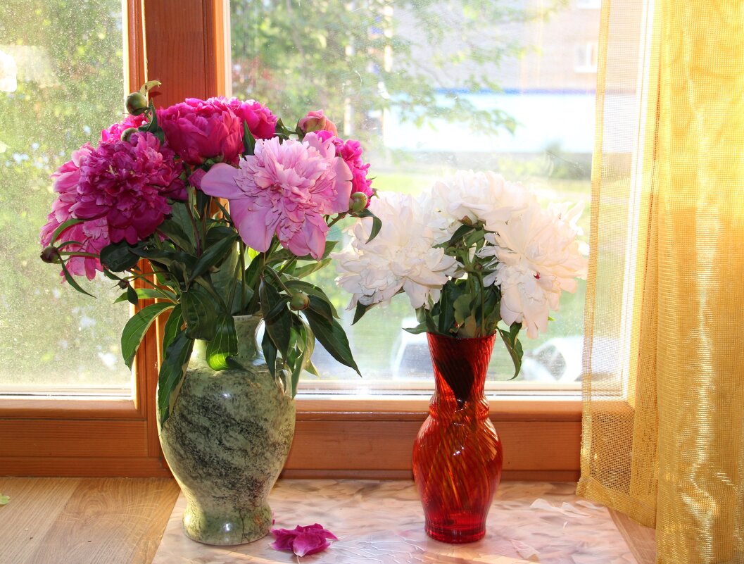 Июнь. - Венера Чуйкова