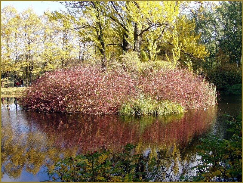 СПБ...Парк Победы... - vadim 