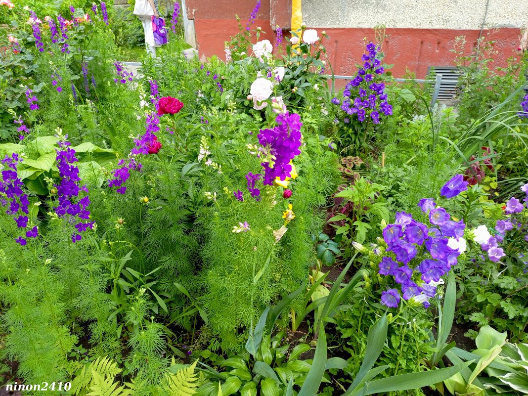 Ростовские цветники - Нина Бутко