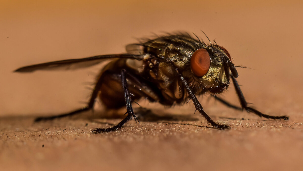 **** - Михаил. М.